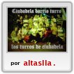 Ciudadela Barrio Turro