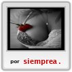 siempre amistad