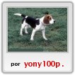 Mat�as